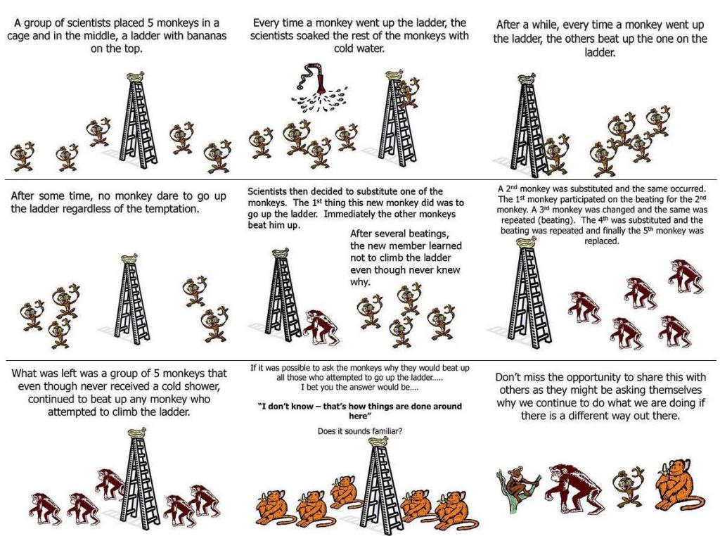 monkey-ladder-experiment